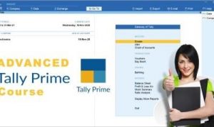 TallyPrime 1.1.3 Crack 