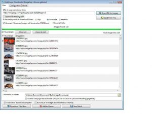 Bulk Image Downloader 6.03 Crack